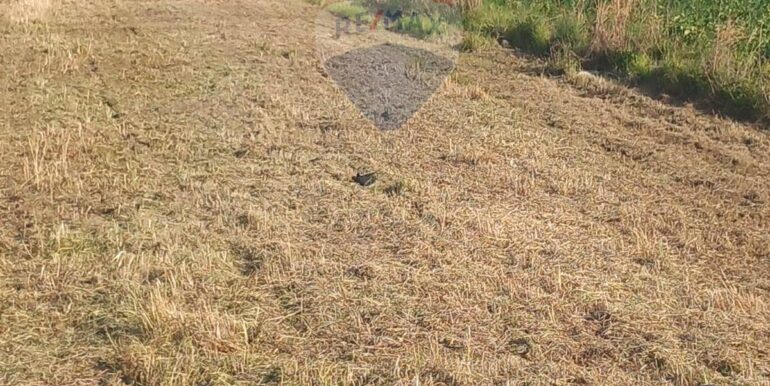 20251124100837-1002898-11