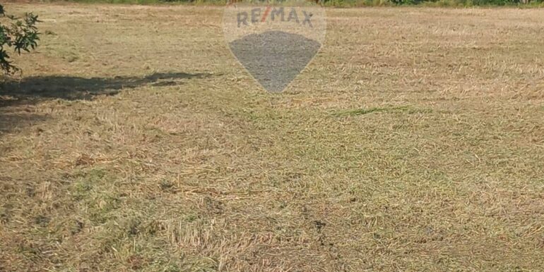 20251124100837-1002898-12