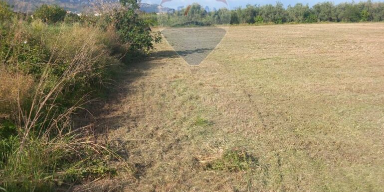 20251124100838-1002898-13