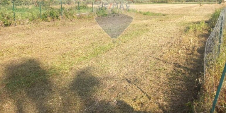 20251124100838-1002898-14