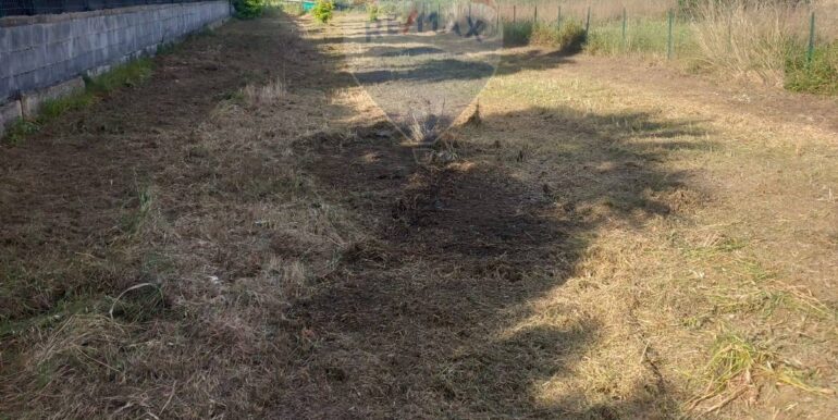 20251124100838-1002898-15