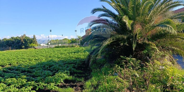 20251124142916-999376-19