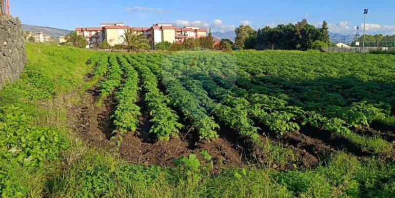 20251124142918-999376-20