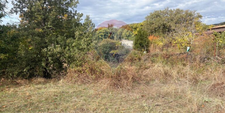 20251124161444-1003040-1