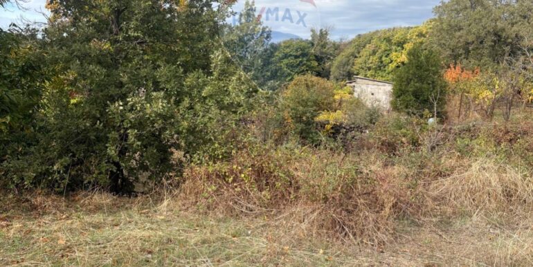 20251124161450-1003040-2