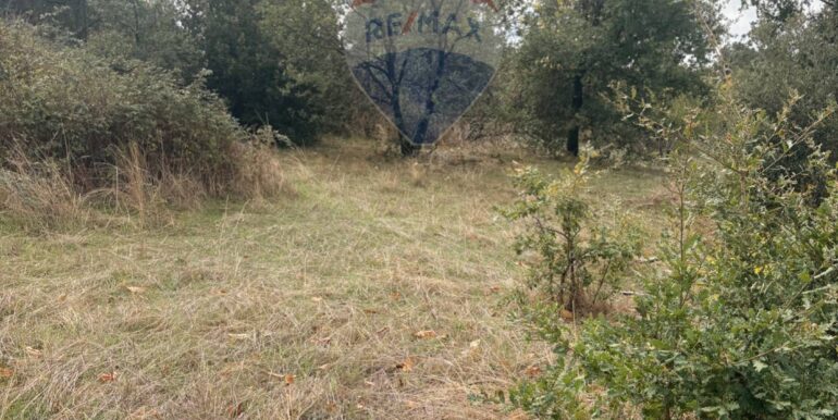 20251124161455-1003040-3