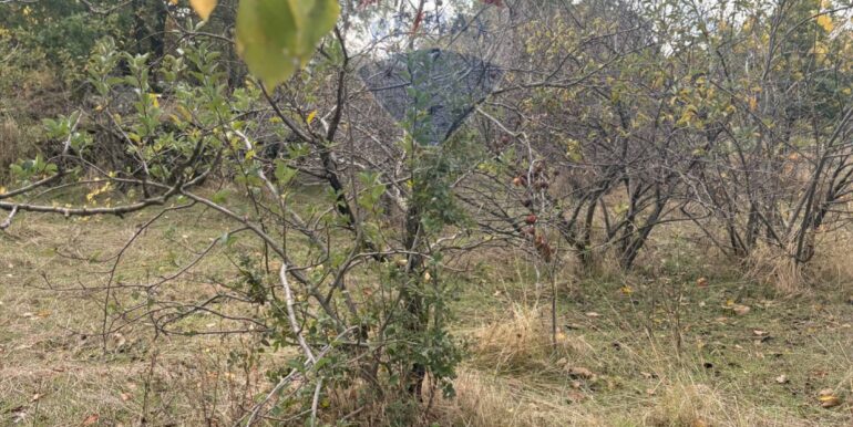 20251124161500-1003040-4