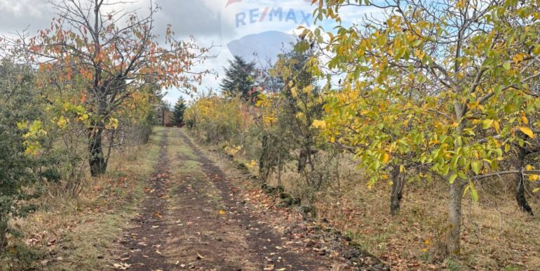 20251124161506-1003040-5