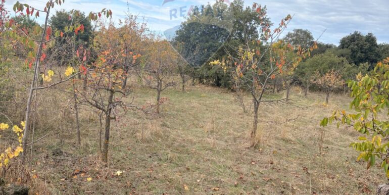 20251124161511-1003040-6