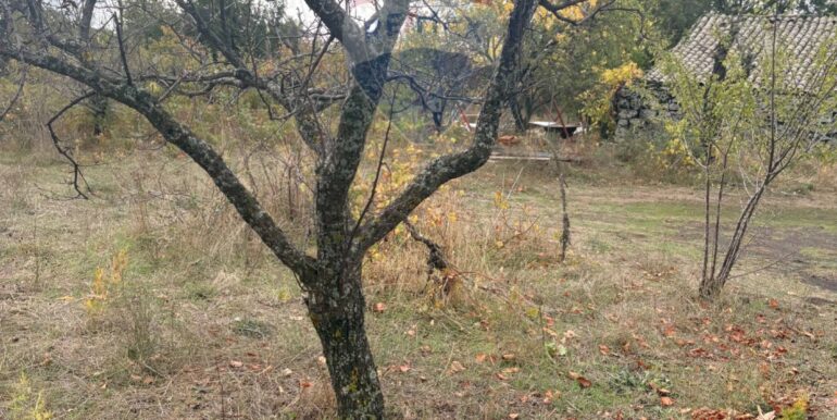 20251124161517-1003040-7