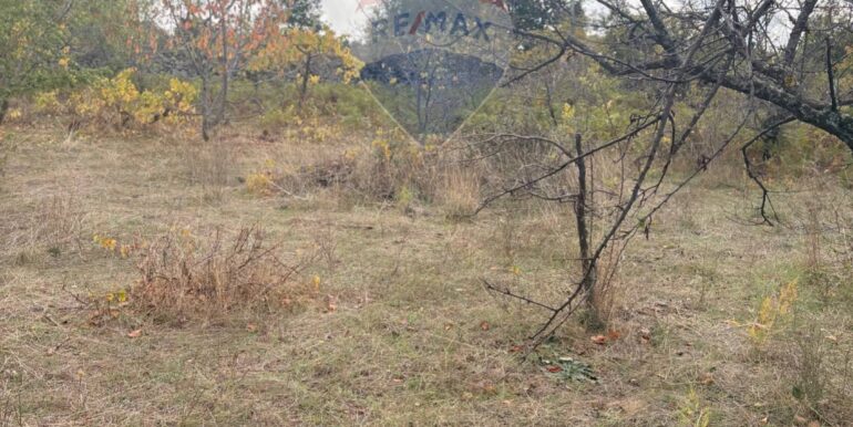 20251124161522-1003040-8