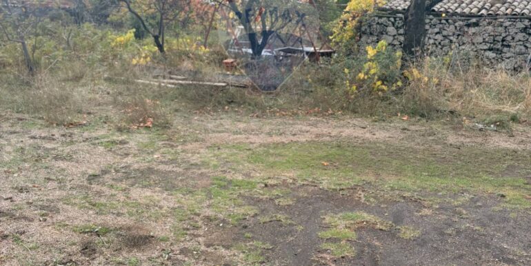 20251124161528-1003040-9