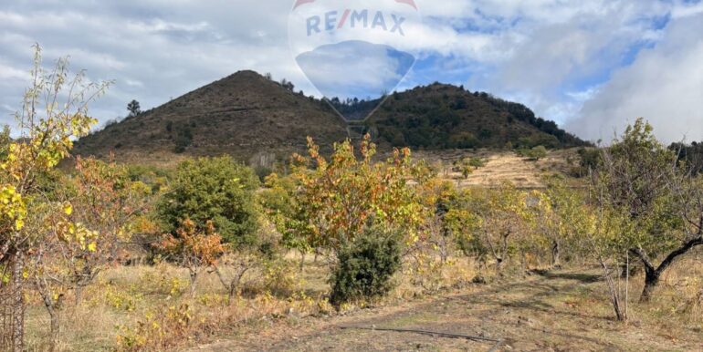 20251124161538-1003040-11