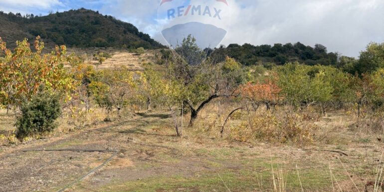 20251124161543-1003040-12