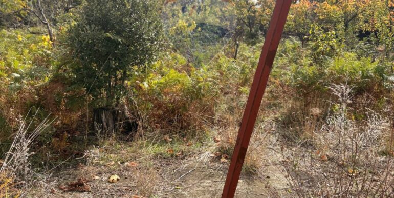 20251124161548-1003040-13