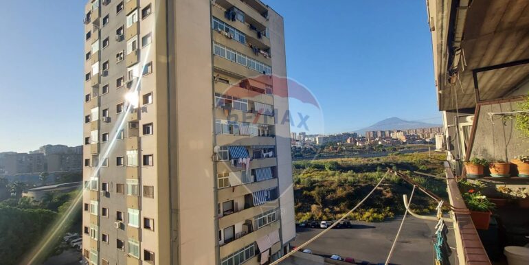 20251125134410-1003479-2