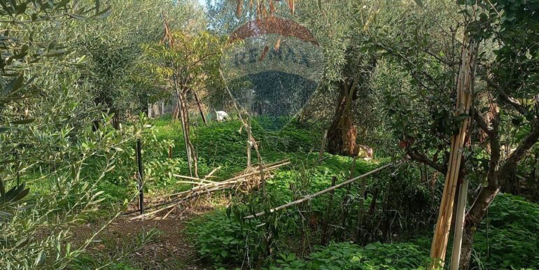 20251125135337-1003482-1