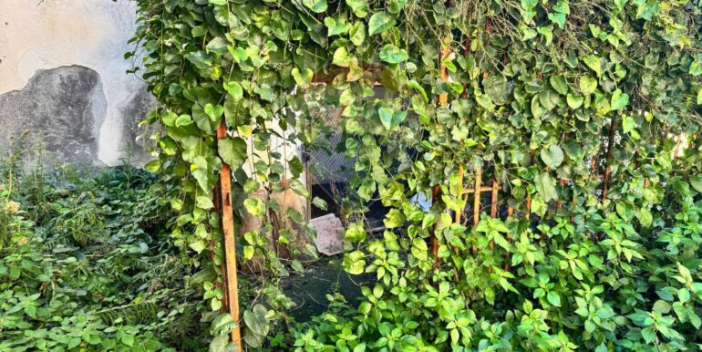 20251128115655-1005023-18