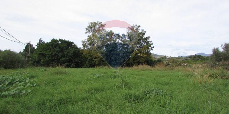 20251128125150-1005042-3