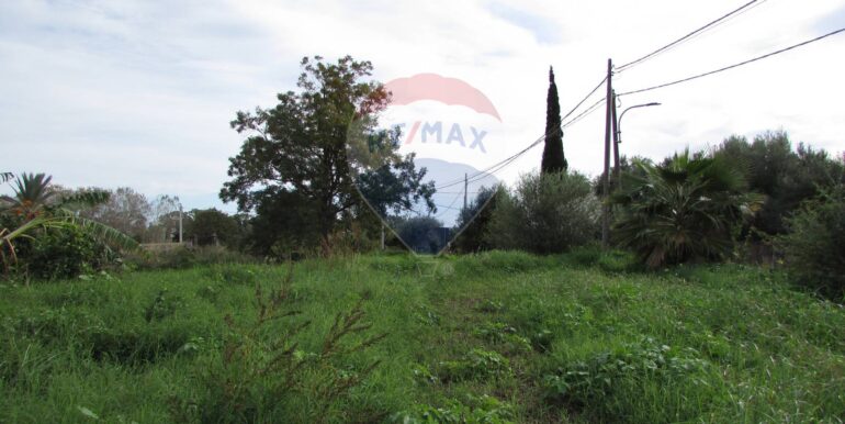 20251128125153-1005042-4