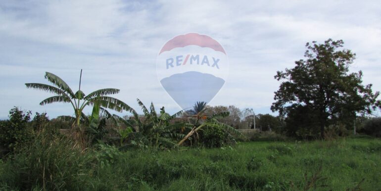 20251128125155-1005042-5