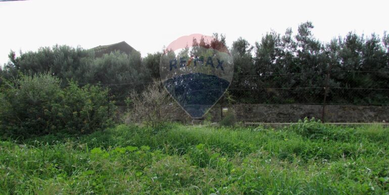 20251128125158-1005042-6