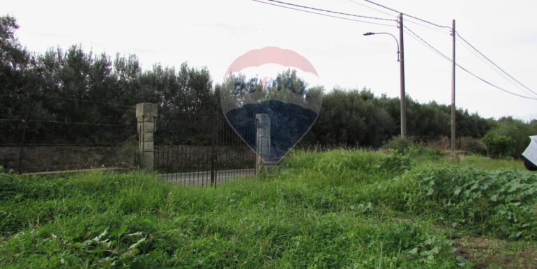 20251128125201-1005042-7