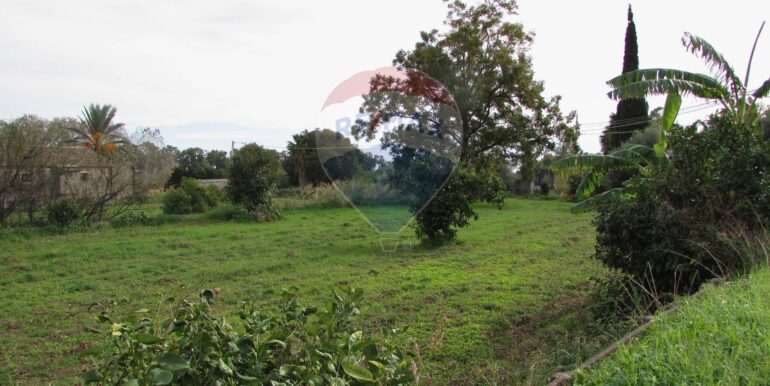 20251128125212-1005042-11