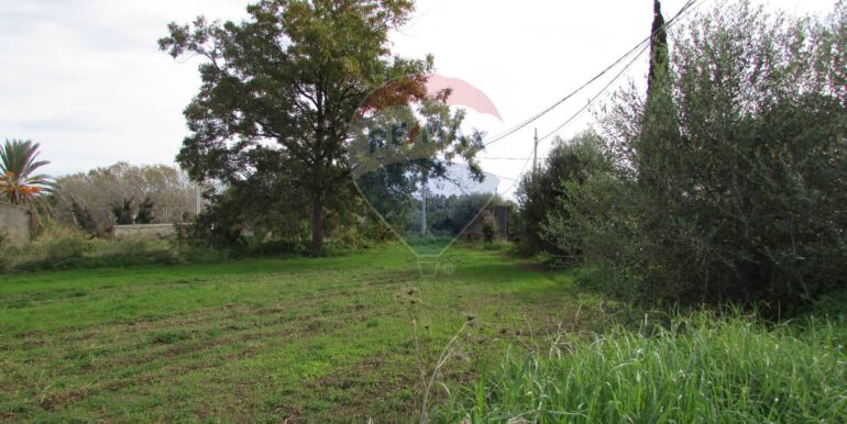 20251128125218-1005042-13