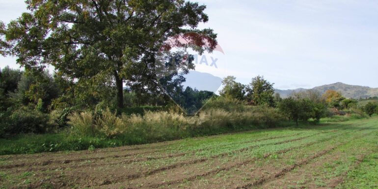 20251128125223-1005042-15