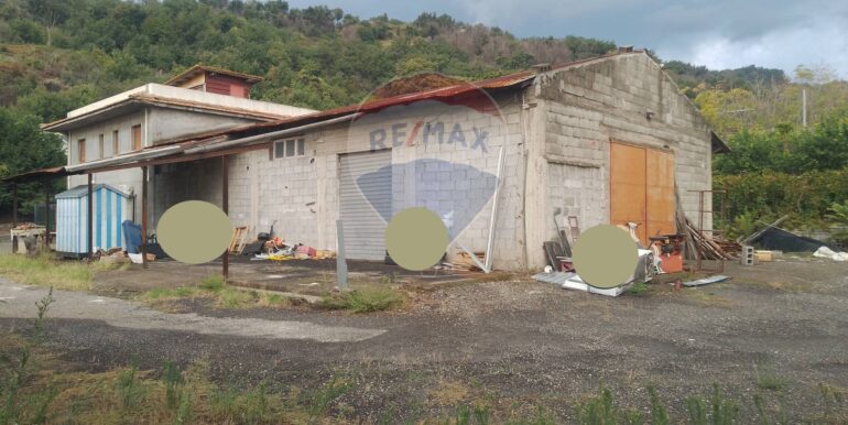 f0029191001761730996