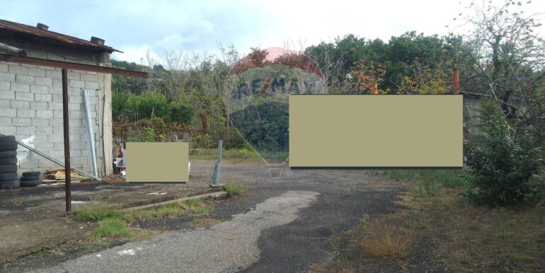 f0176359001761731068