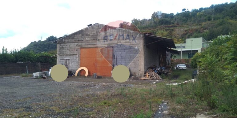 f0796367001761731147