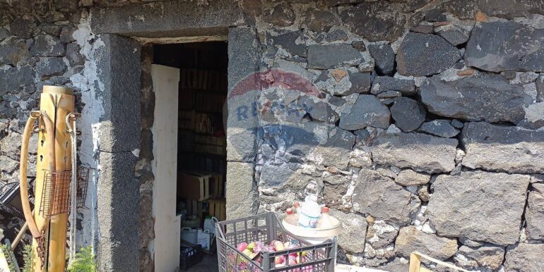 20230828125154-777586-9