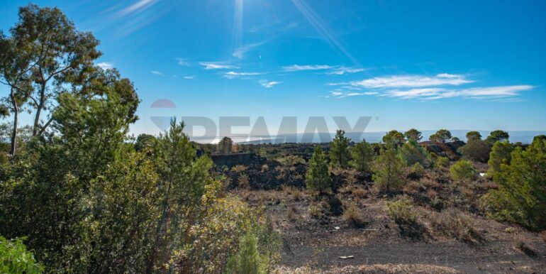 2023110432820-799935-30