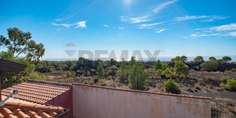 2023110432902-799935-36