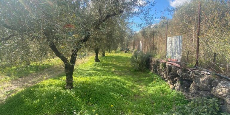 20240201113830-826773-2