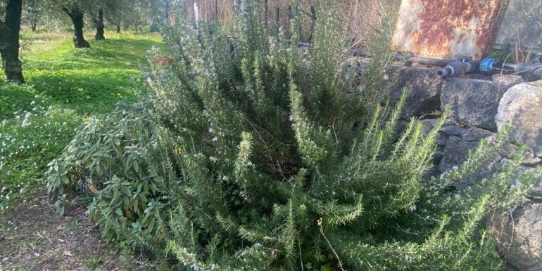 20240201113832-826773-3