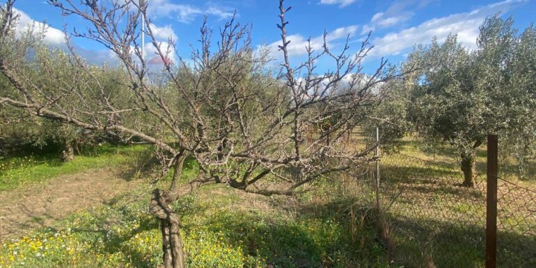 20240201113835-826773-4