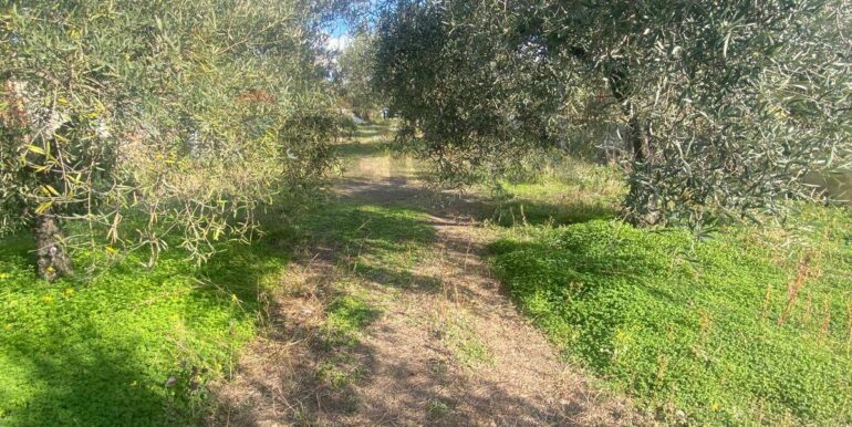 20240201113837-826773-5