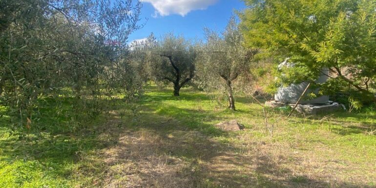 20240201113840-826773-6