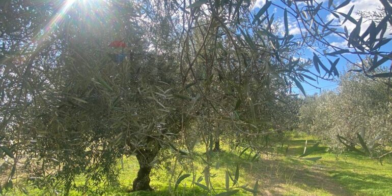 20240201113845-826773-8