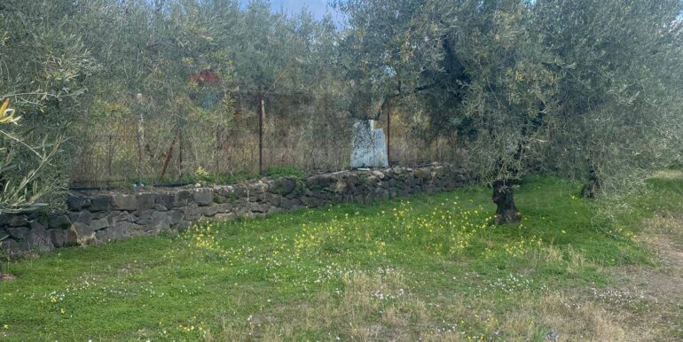 20240201113847-826773-9