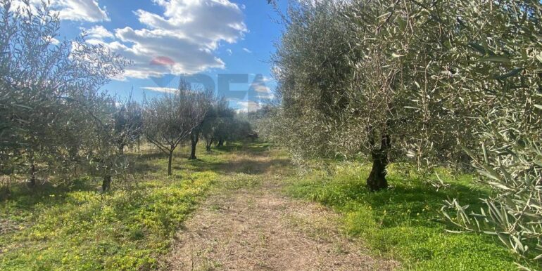 20240201113850-826773-10