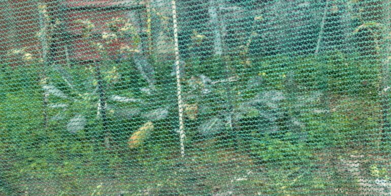 20240201113855-826773-12