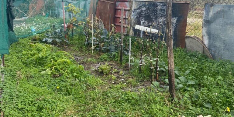 20240201113859-826773-14