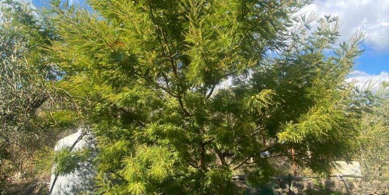 20240201113901-826773-15