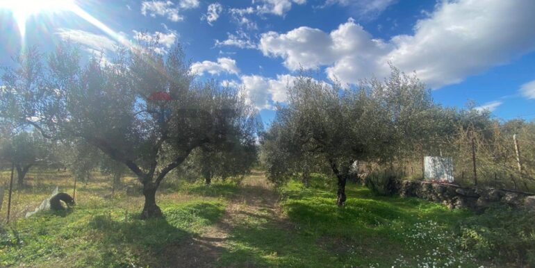 20240201113910-826773-19