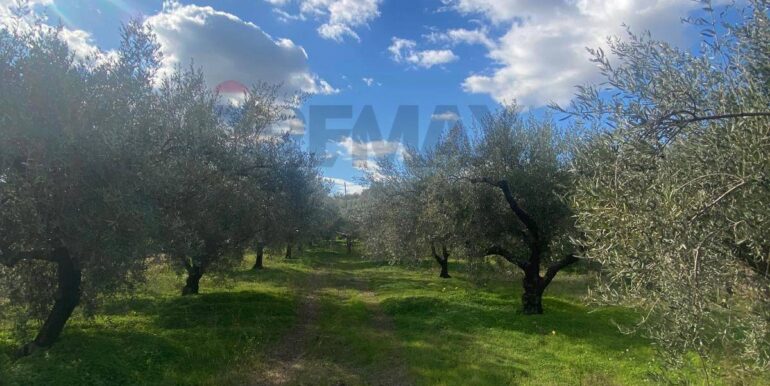 20240201113912-826773-20