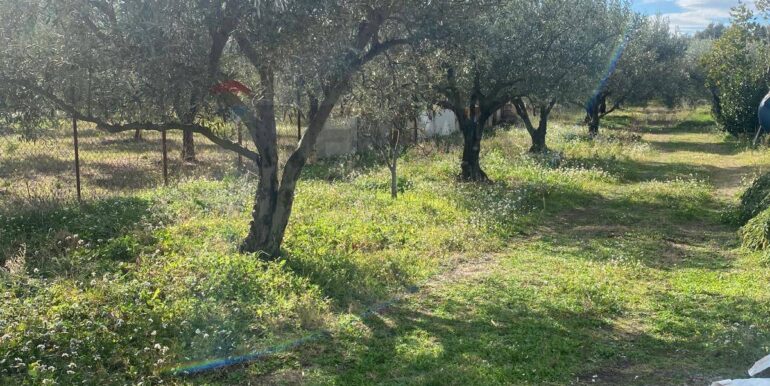 20240201113926-826773-26